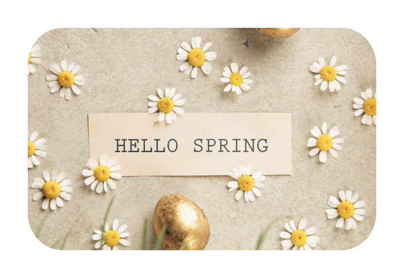 Spring Arrives… and I Meet It Where I Am